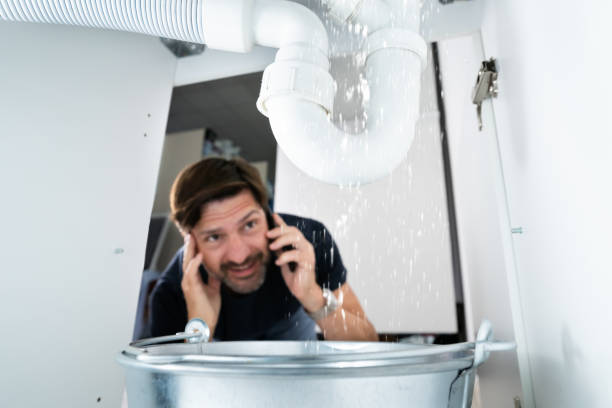 Best Clogged Drain Plumber  in Victoria, MN