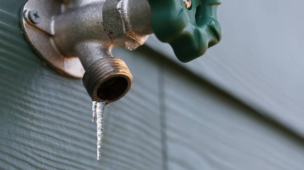 Best Leak Detection Services  in Victoria, MN